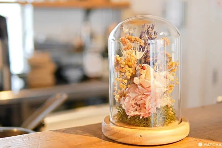 新宿ダイアログ