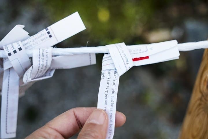 Omikuji - Japanese Fortune Slips