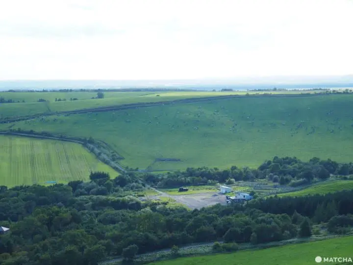【北海道 中標津】見證地球是圓的！北海道遼闊草原絕景