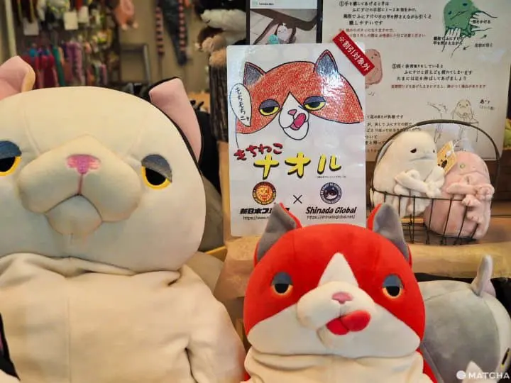 シナダ　もちねこ