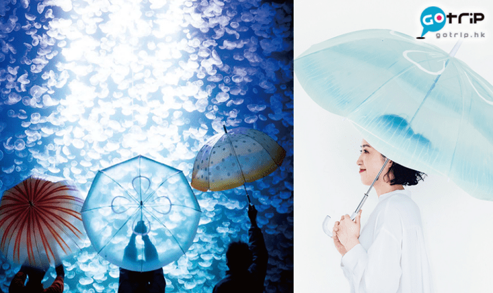 【日本雜貨】在雨中當個水母吧!日本網路當紅唯美水母傘