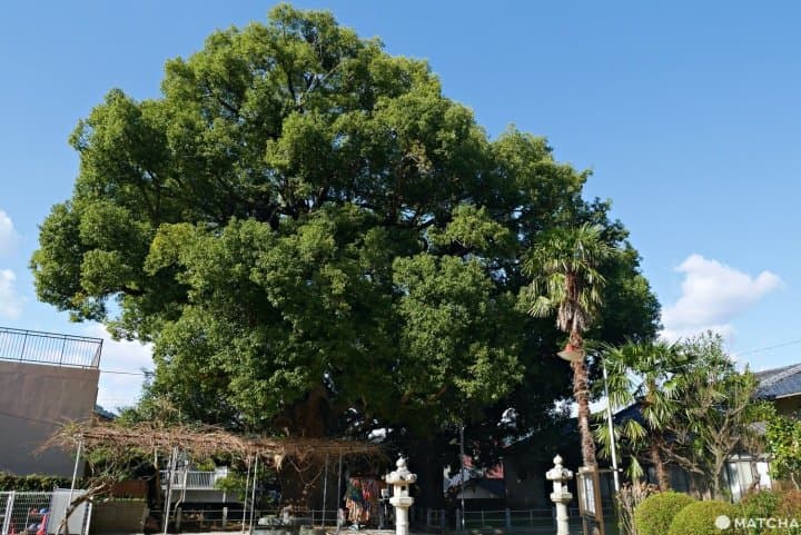 長崎景點 搭上路面電車 來趟宛如博物館的城市之旅 Matcha 日本線上旅遊觀光雜誌