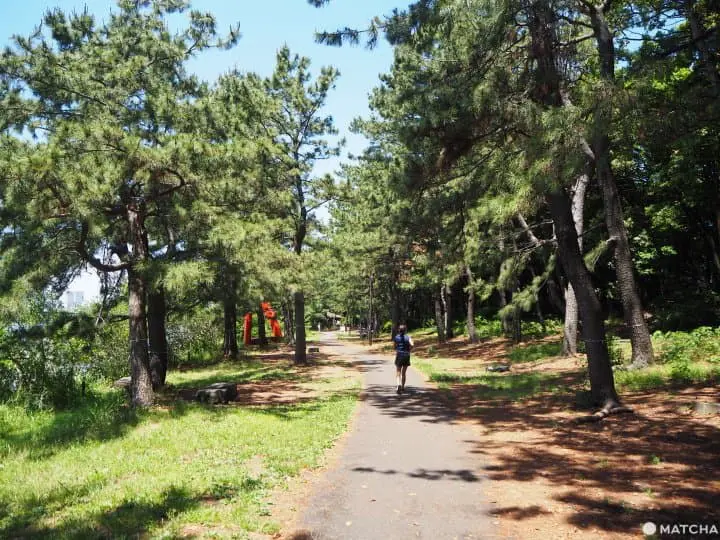 Best Places To Run In Tokyo (That Aren’t The Imperial Palace) 