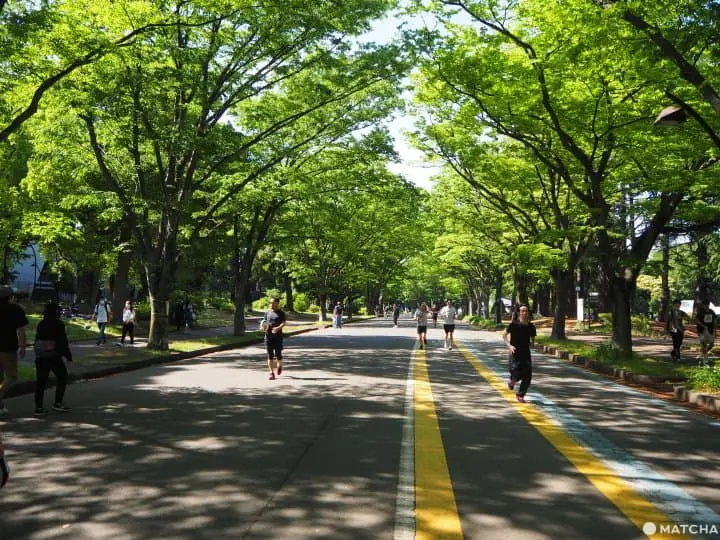 Best Places To Run In Tokyo (That Aren’t The Imperial Palace) 
