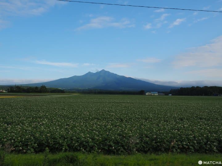 【北海道 斜里】老舊陶藝教室的氣味,田園間的「陶房咖啡」