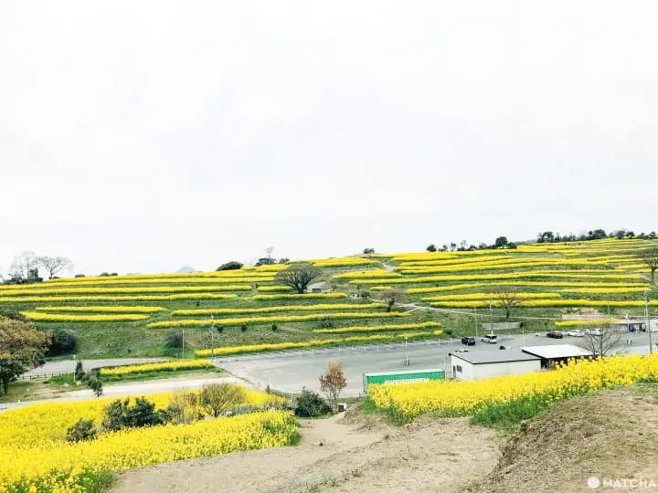 大分不只有溫泉﹗ 豐後高田市秘景與人氣景點