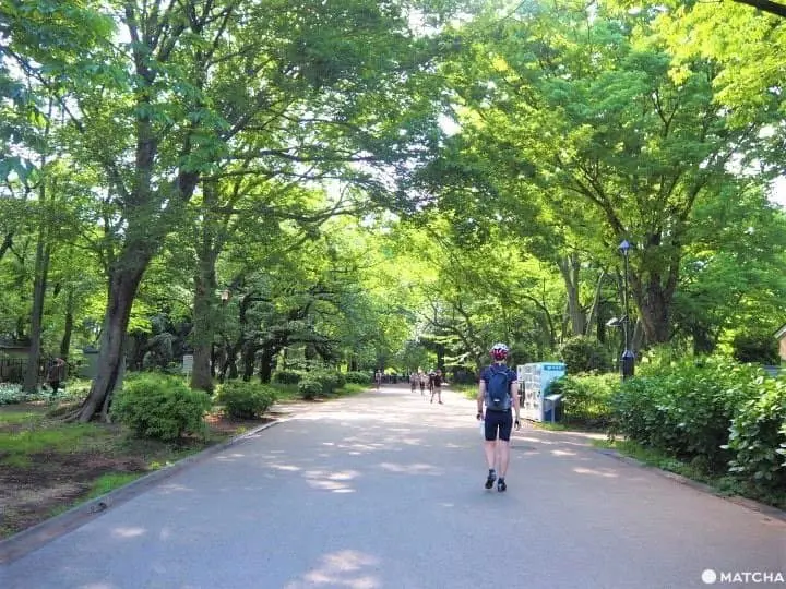 Best Off-The-Beaten-Path Places To Run In Tokyo 