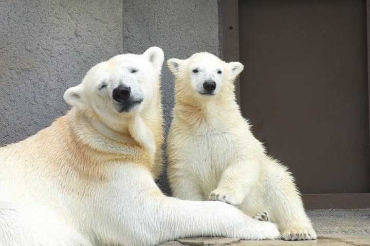 圓山動物園