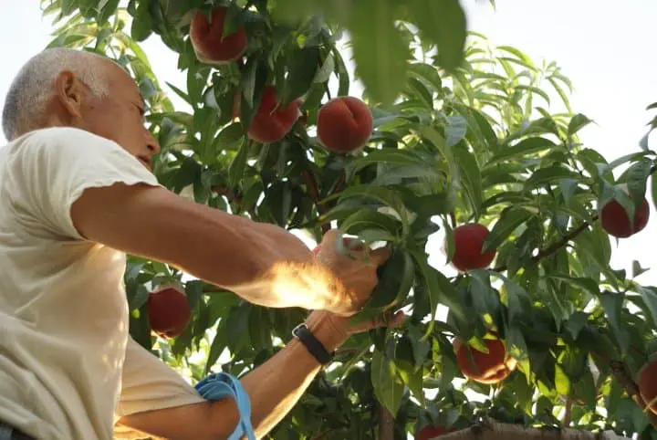 川中島平ファクトリー