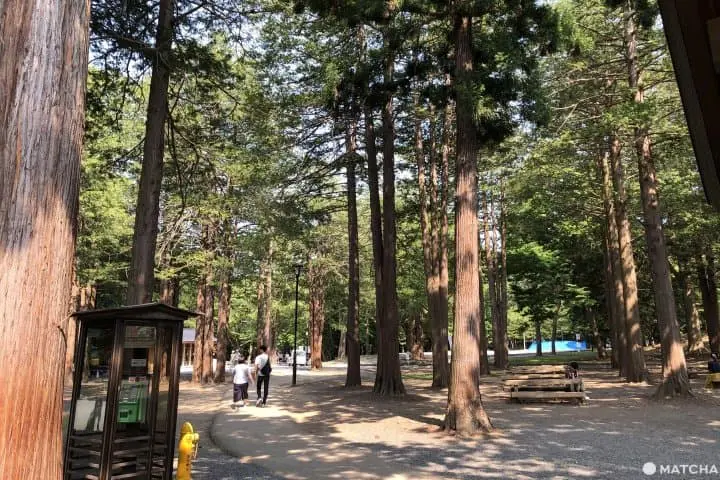 円山公園