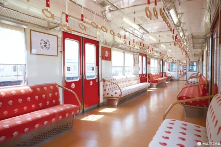 粉色鯛魚列車