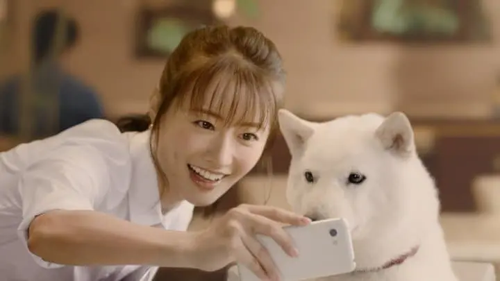 要辦哪家電信公司？日本電信公司介紹