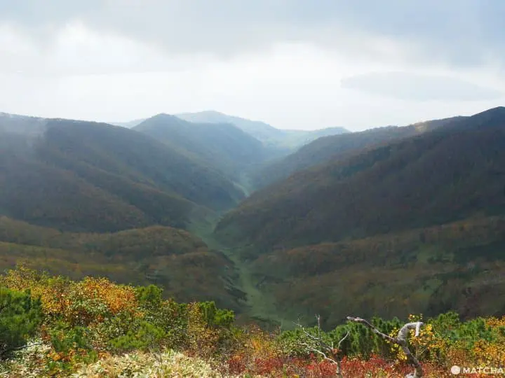 【北海道 道東】抓住紅葉之秋，藻琴山登山足湯半日遊