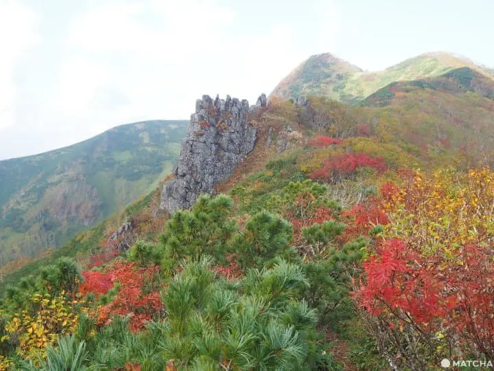 【北海道 道東】抓住紅葉之秋，藻琴山登山足湯半日遊