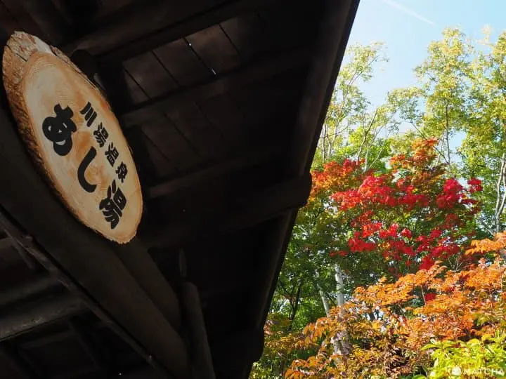 【北海道 道東】抓住紅葉之秋，藻琴山登山足湯半日遊