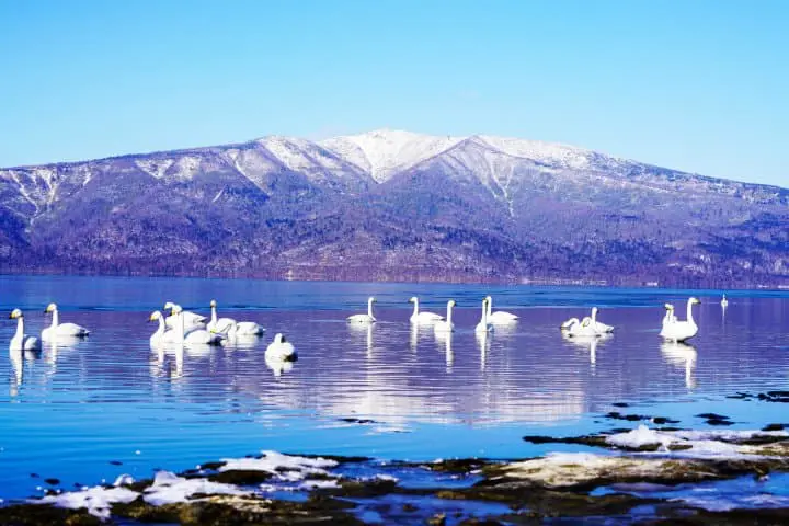 【北海道 藻琴山】抓住紅葉之秋，登山足湯半日遊
