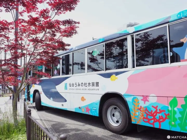 仙台水族館JR接駁車