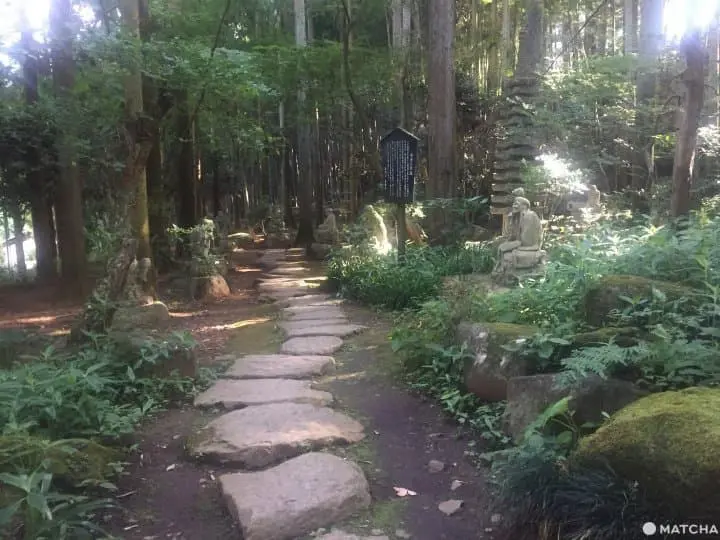 Ajisai Festival: The Magical Flowers at Kurobane Castle 