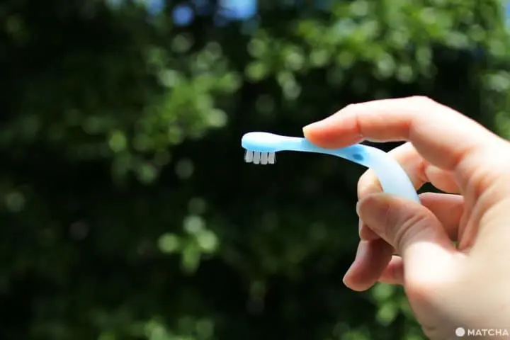 LION Children's Toothbrush