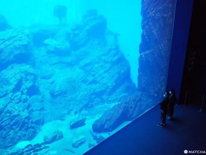 仙台推薦景點一日遊