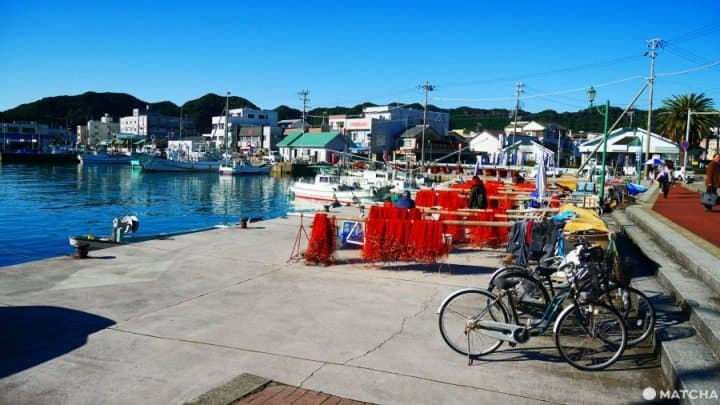 和歌山