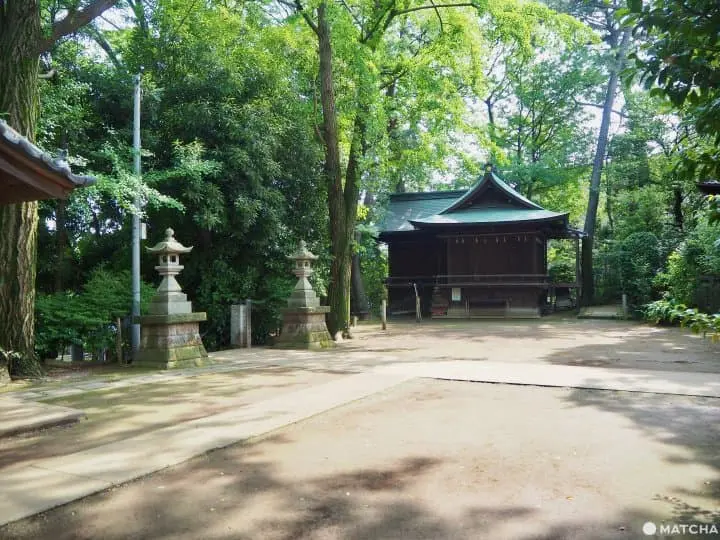 senzoku hachiman shrine