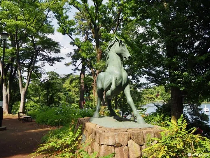 senzoku hachiman horse