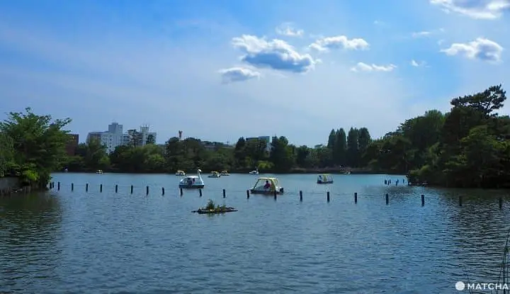 senzokuike pond paddle