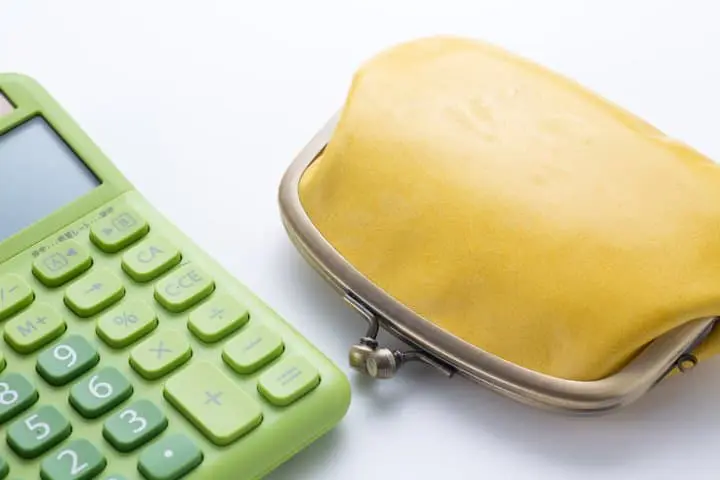 cost of counseling in japan