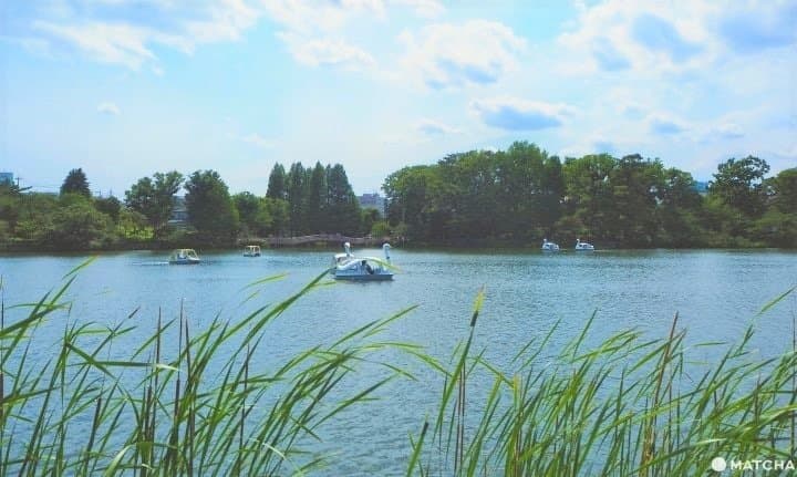 Senzokuike Park - A Hidden Gem In Tokyo With Nature And A Rich History