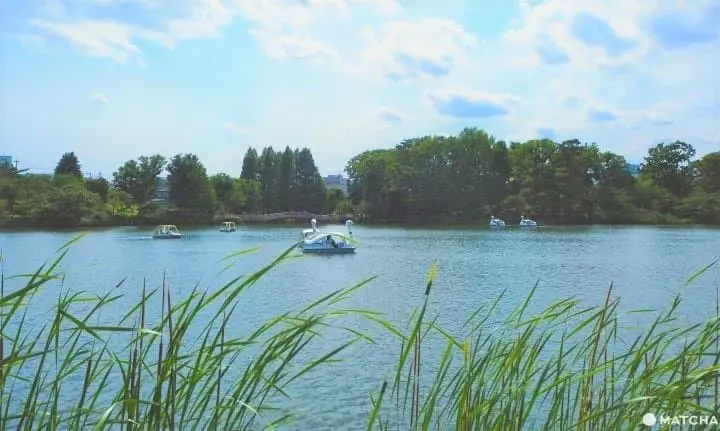 Senzokuike Park - A Hidden Gem In Tokyo With Nature And A Rich History 