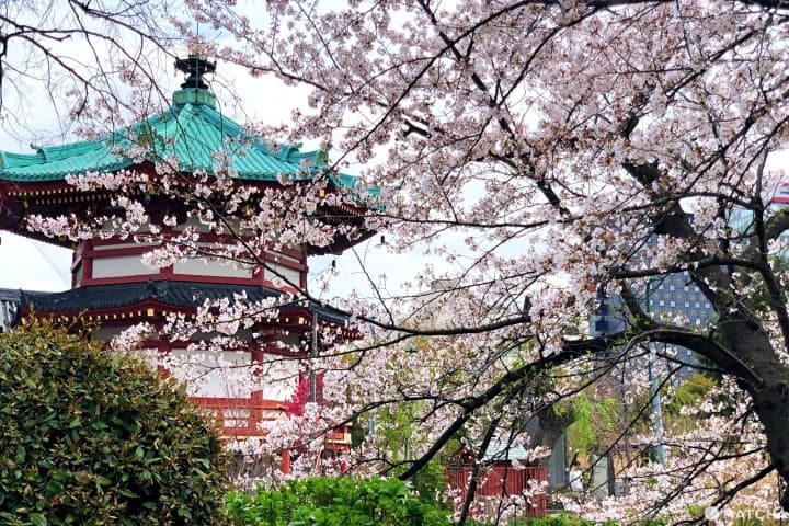 Shinobazu Pond