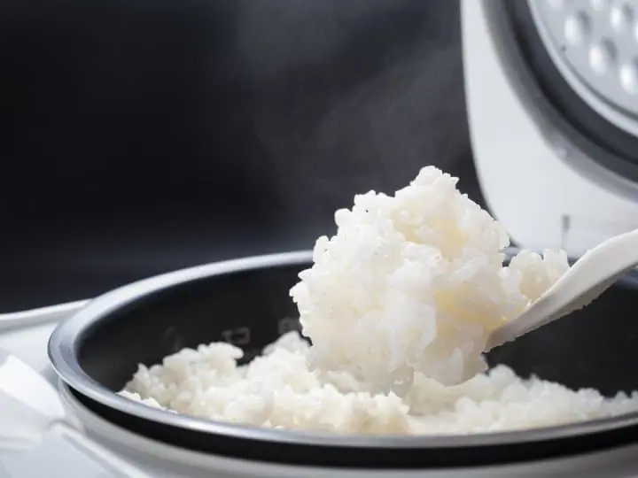 2020日本人氣「電子鍋」7選　將日式料亭的米飯好滋味帶回家！