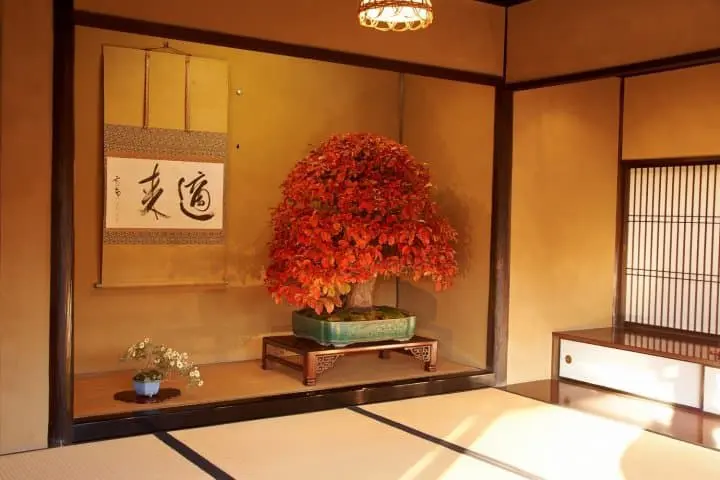 Tokonoma, An Essential Element Of Japanese Architecture