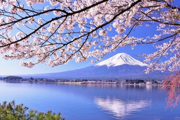 Go To Travel