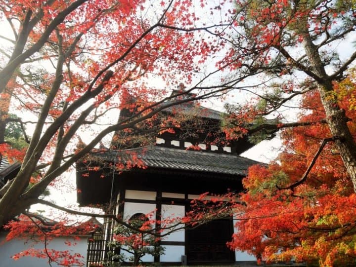 日本國旅 GO TO