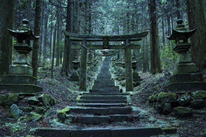 日本國旅 申請