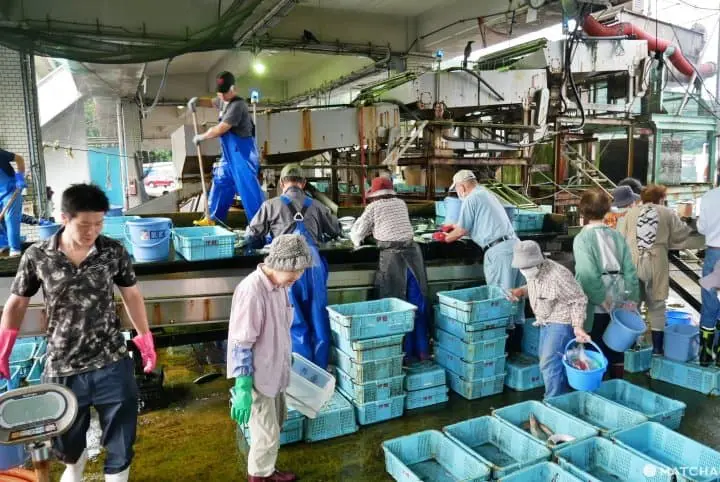 伊根最美麗的風景「日常」