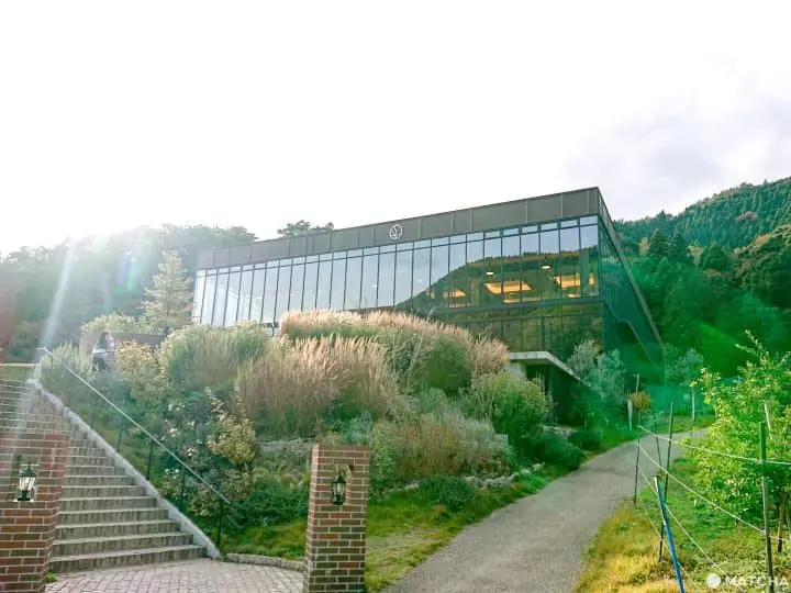 到鳥取大江ノ鄉牧場，吃讓日本人也愛不釋手的鬆餅、買天美卵雞蛋副產品