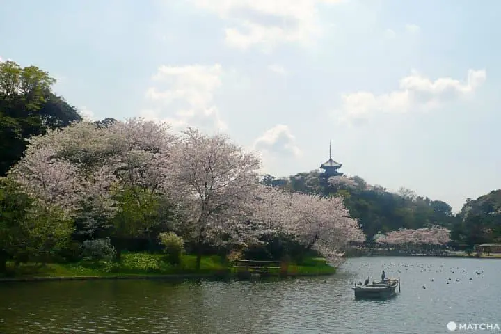 แนะนำเสน่ห์โดยคนแอบรักโยโกฮาม่า จากทริปตามรอยแห่งฝันสู่ความเป็นจริง