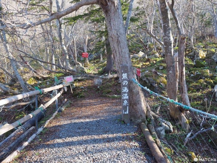 【北海道 羅臼】自然與溫泉的雙重饗宴,羅臼滿喫行程推薦