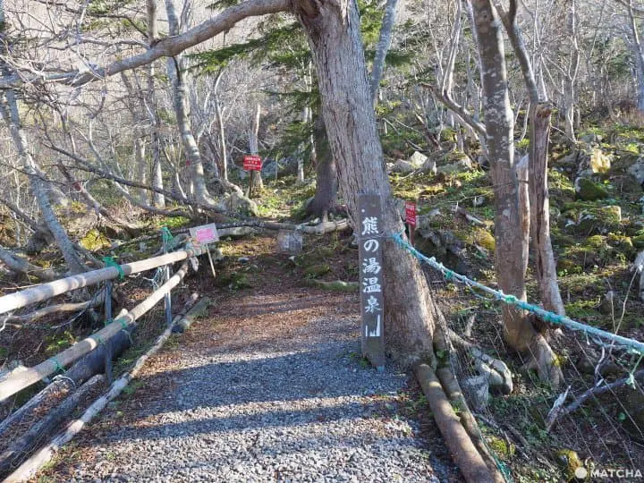【北海道 羅臼】自然與溫泉的雙重饗宴，羅臼滿喫行程推薦