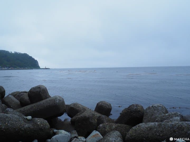 【北海道 羅臼】自然與溫泉的雙重饗宴,羅臼滿喫行程推薦