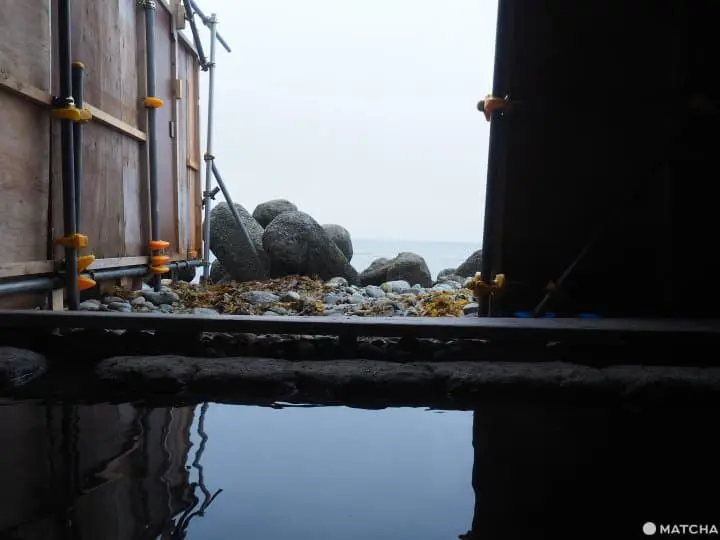 【北海道 羅臼】自然與溫泉的雙重饗宴，羅臼滿喫行程推薦