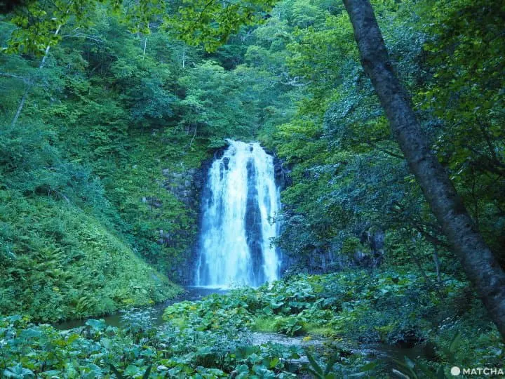 【北海道 羅臼】自然與溫泉的雙重饗宴，羅臼滿喫行程推薦