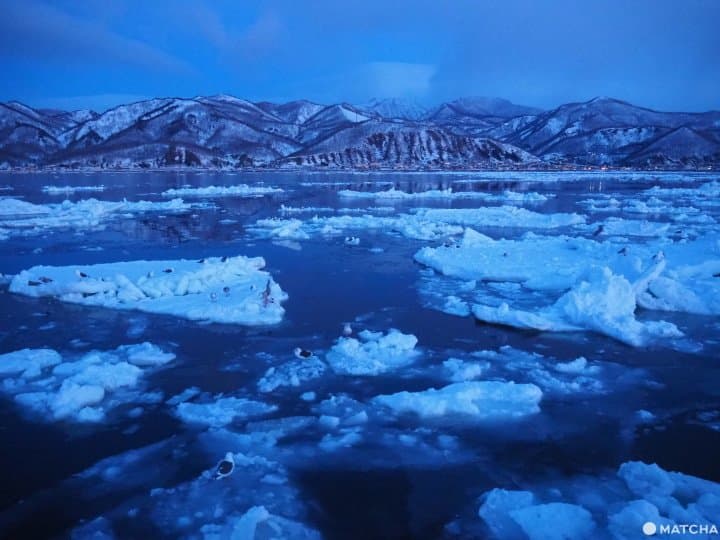 【北海道 羅臼】自然與溫泉的雙重饗宴,羅臼滿喫景點推薦