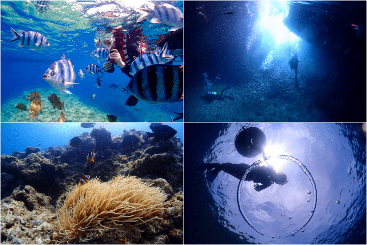 cape maeda snorkeling