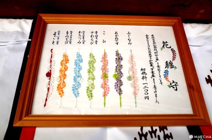 阿知紫藤