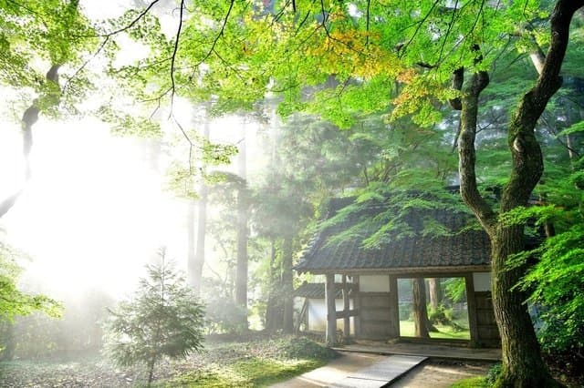 Splendid World Heritage Sites! Explore Historic Buddhist Sites In Hiraizumi, Iwate