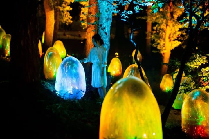 武藏野樹林PARK